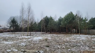 Miniatura działek